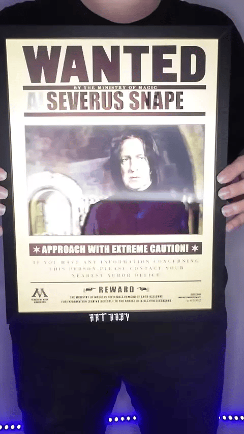 Harry Potter WANTED Serisi – Dumbledore, Snape, Sirius Hareketli Tablo (Lenticular)