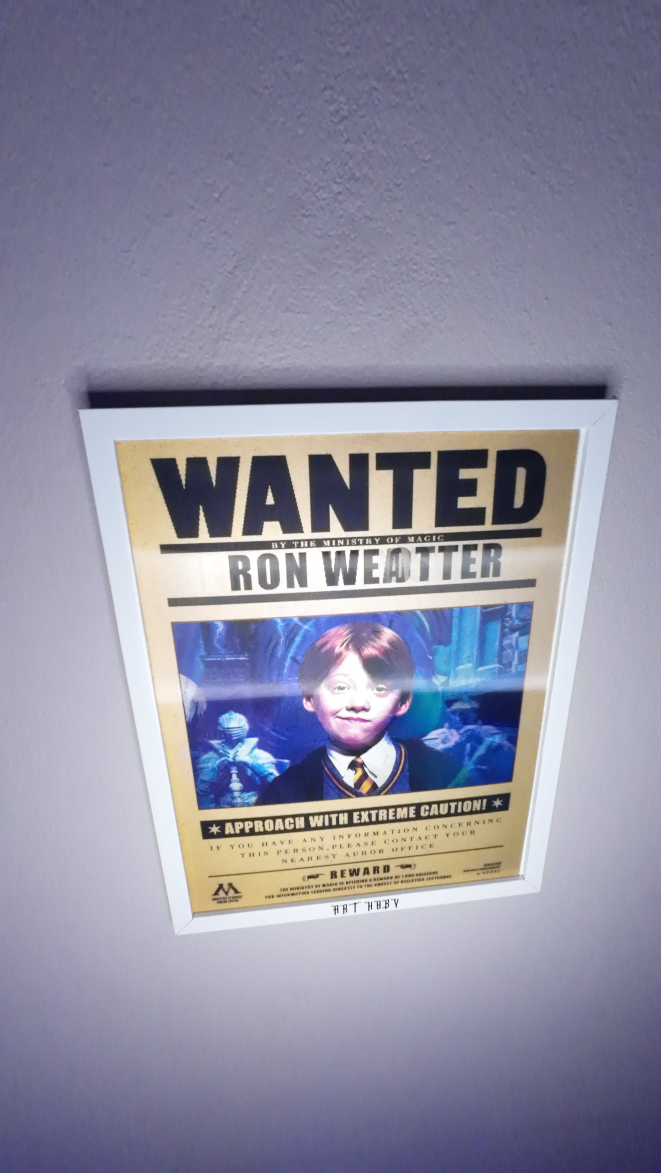 Harry Potter Karakter Tablosu – Hermione, Ron, Harry Hareketli Tablo (Lenticular)