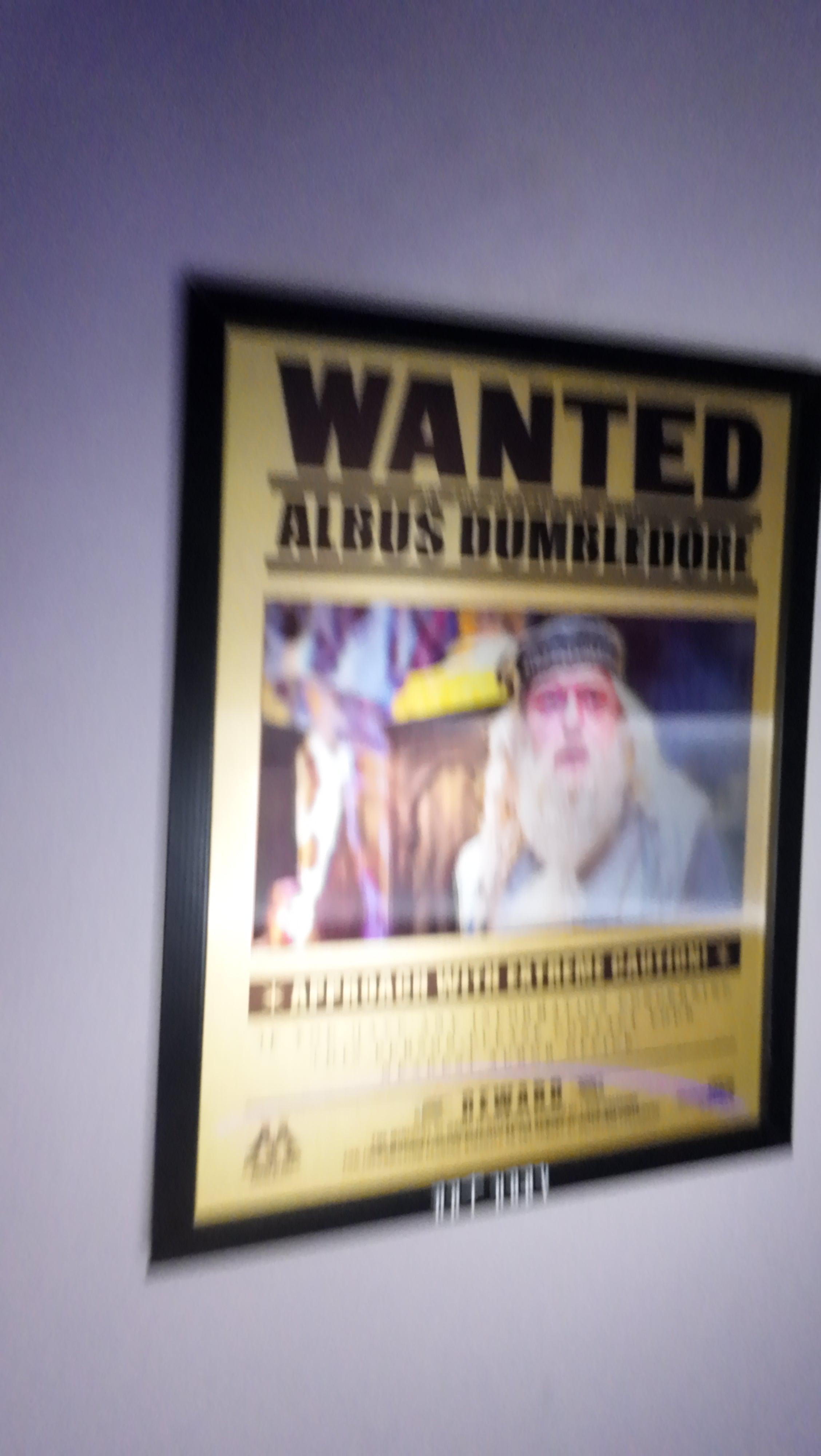 Harry Potter WANTED Serisi – Dumbledore, Snape, Sirius Hareketli Tablo (Lenticular)